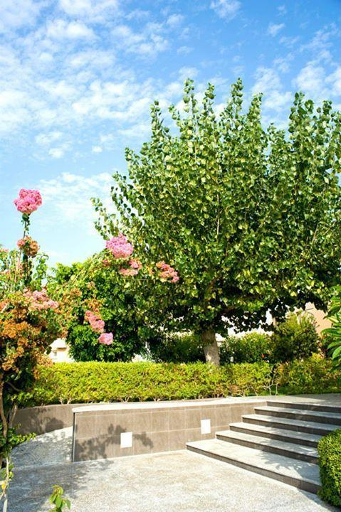 Alfa Hotel Apartments Gerani  Zewnętrze zdjęcie
